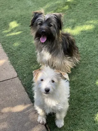 Ella and Shelby