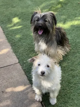 Ella and Shelby
