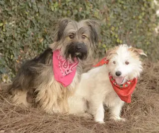 Ella and Shelby