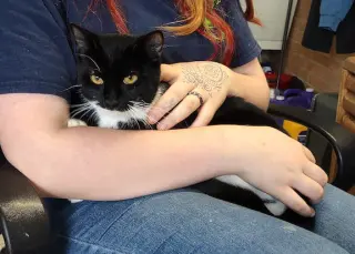 Ziggy
