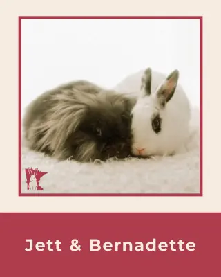 Bernadette