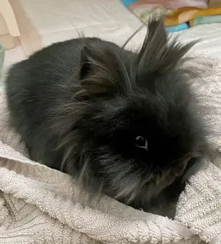 Bernadette