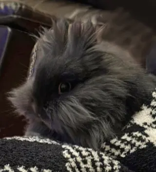 Bernadette