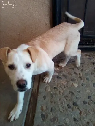 Jingles-his BFF is Baby Girl
