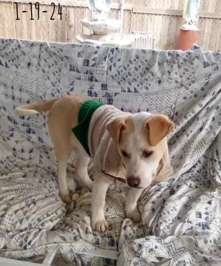Jingles-his BFF is Baby Girl