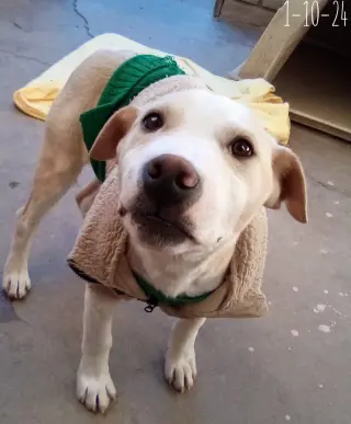 Jingles-his BFF is Baby Girl