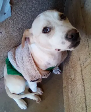 Jingles-his BFF is Baby Girl