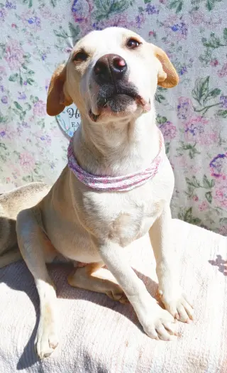 Jingles-his BFF is Baby Girl