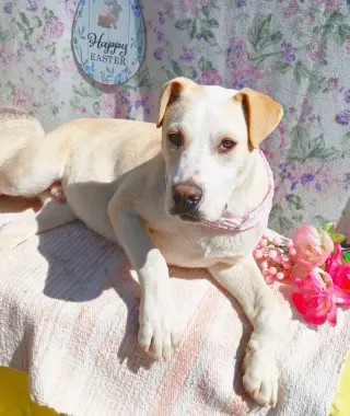 Jingles-his BFF is Baby Girl