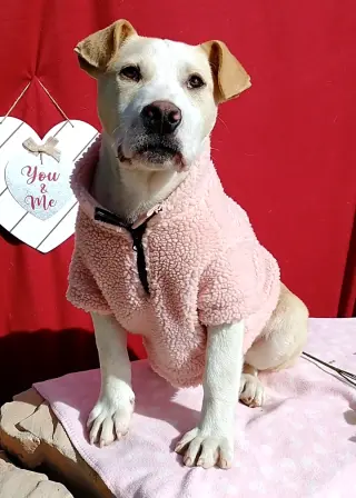 Jingles-his BFF is Baby Girl