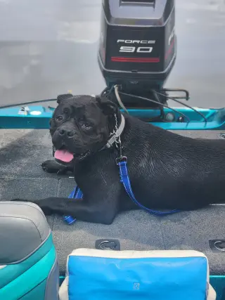 Oscar
