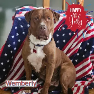 Wemberly