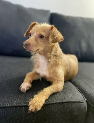 Lucy