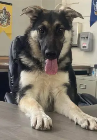 Kaia