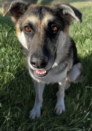 Kaia