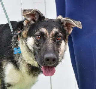 Kaia