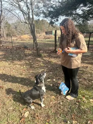 Roscoe in Scottsville VA