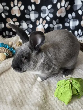 Danny