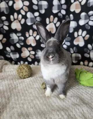 Danny