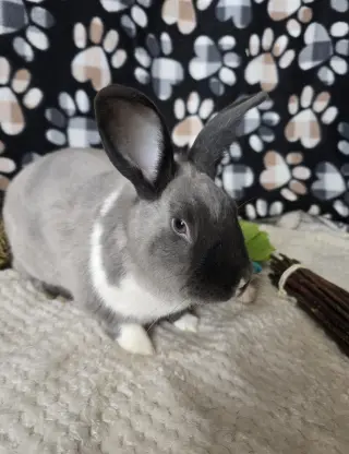 Danny