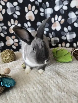 Danny