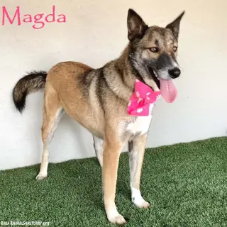 Magda