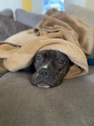 RICARDO (COURTESY POST)