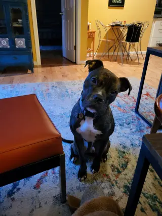 RICARDO (COURTESY POST)