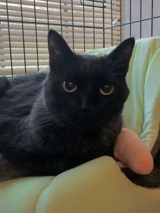 Jack