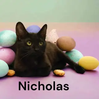 Nicolas