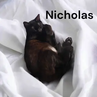 Nicolas