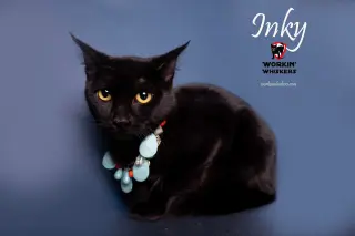 INKY