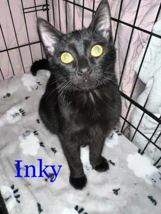 INKY