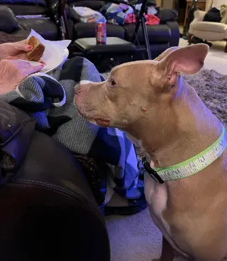 Baby Girl