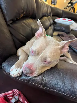 Baby Girl