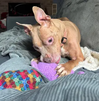 Baby Girl