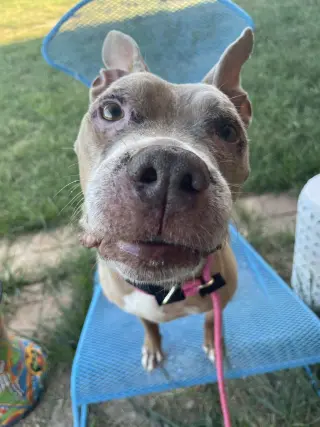 Baby Girl