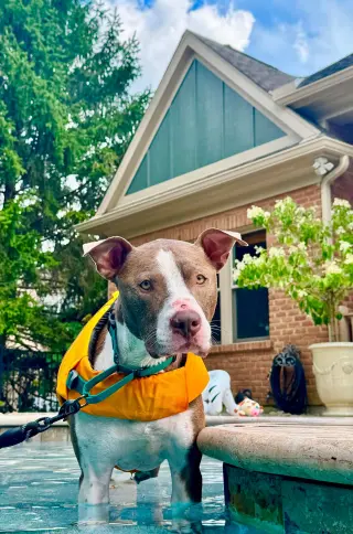 Two Tone Tucker