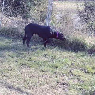 Betty