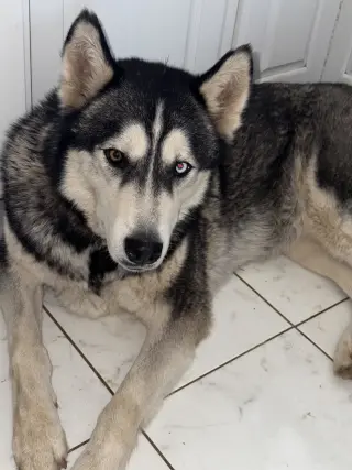 Pablo
