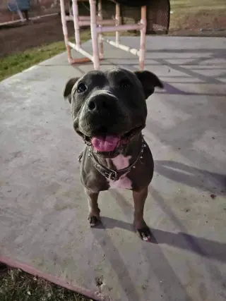 Roxy
