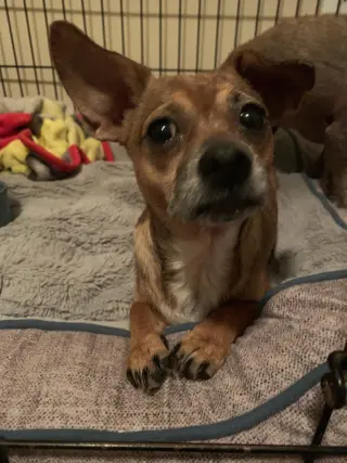 Freya