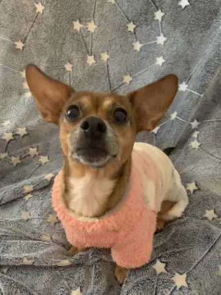 Freya