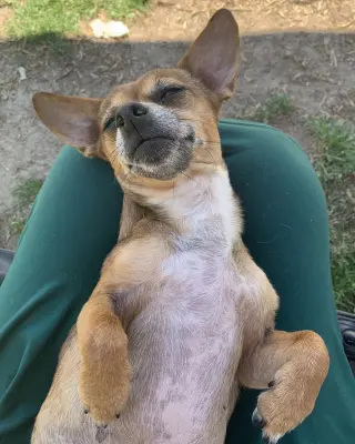 Freya