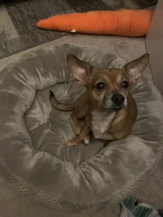 Freya