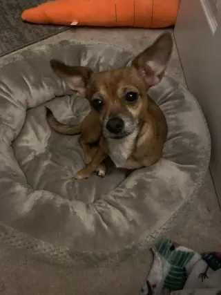 Freya