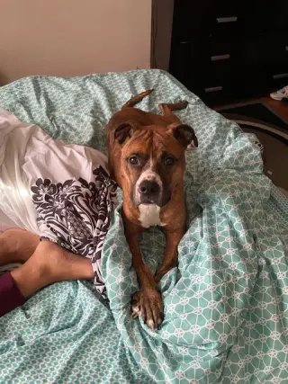 TESS (COURTESY (POST)