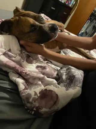 TESS (COURTESY (POST)