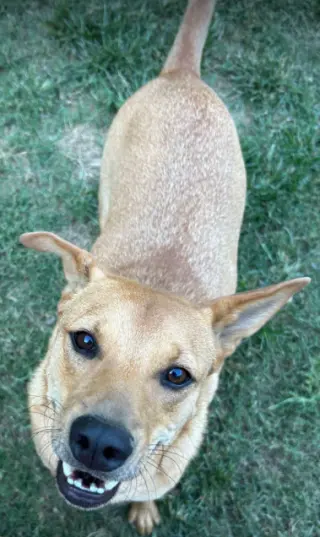 Monty