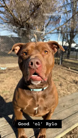Rylo